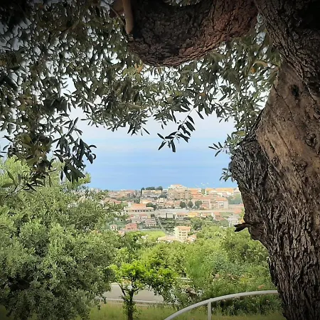 Hotel Pian Delle Vigne Praia a Mare