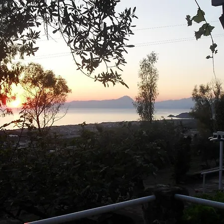 Pian Delle Vigne